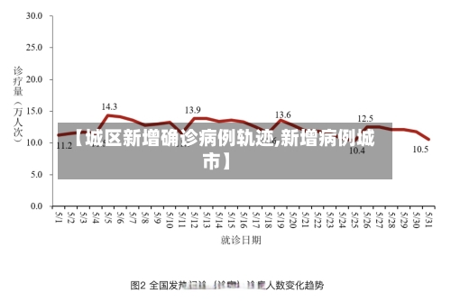 【城区新增确诊病例轨迹,新增病例城市】-第2张图片