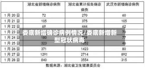 娄底新增确诊病例情况/娄底新增新型冠状病毒