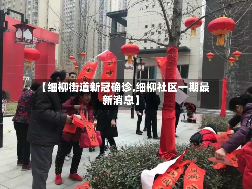 【细柳街道新冠确诊,细柳社区一期最新消息】-第2张图片