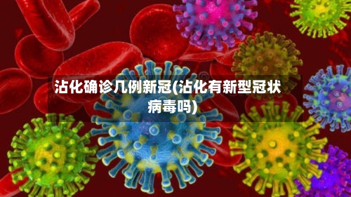 沾化确诊几例新冠(沾化有新型冠状病毒吗)