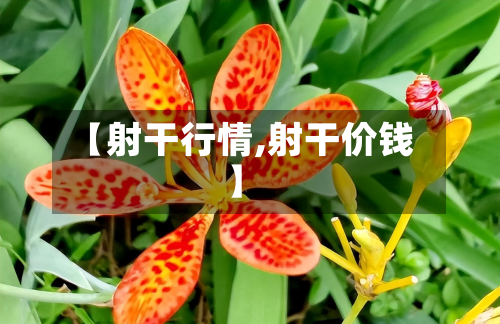 【射干行情,射干价钱】