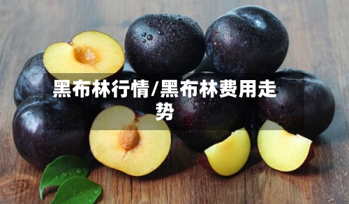 黑布林行情/黑布林费用走势-第2张图片