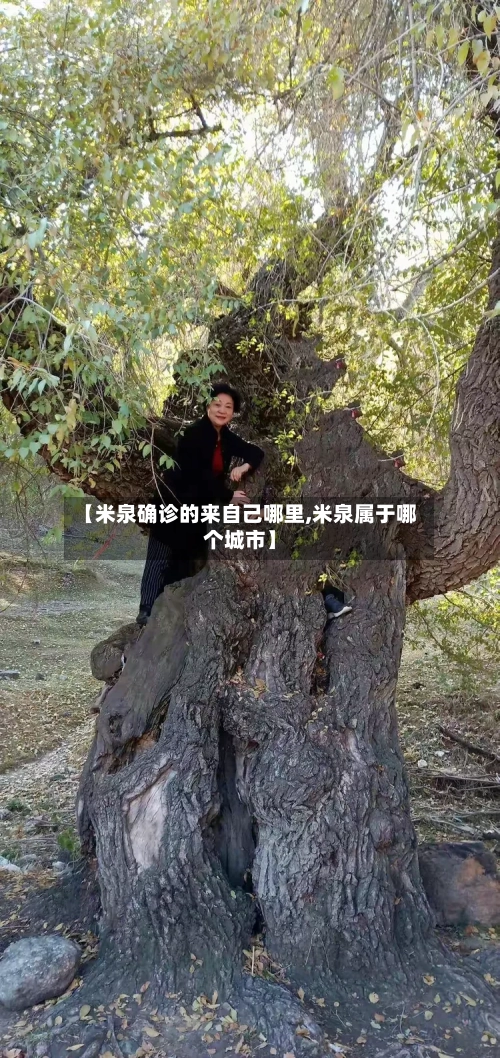 【米泉确诊的来自己哪里,米泉属于哪个城市】