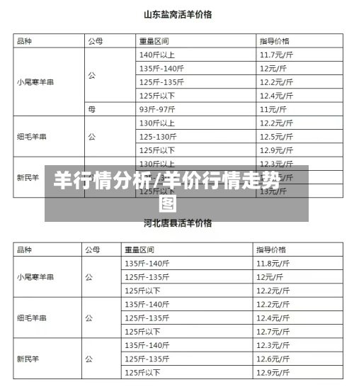 羊行情分析/羊价行情走势图