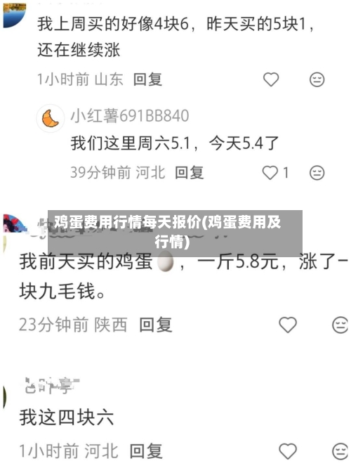 鸡蛋费用行情每天报价(鸡蛋费用及行情)