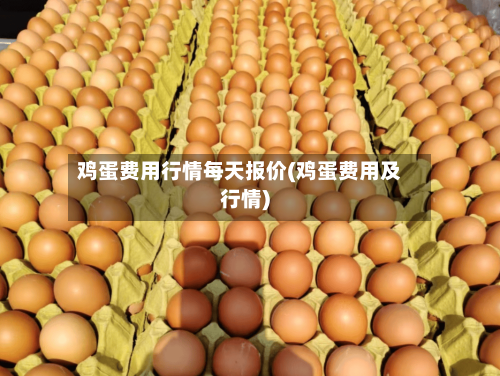 鸡蛋费用行情每天报价(鸡蛋费用及行情)-第2张图片