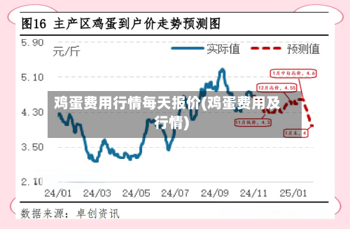 鸡蛋费用行情每天报价(鸡蛋费用及行情)-第3张图片