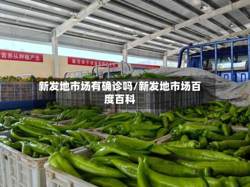 新发地市场有确诊吗/新发地市场百度百科
