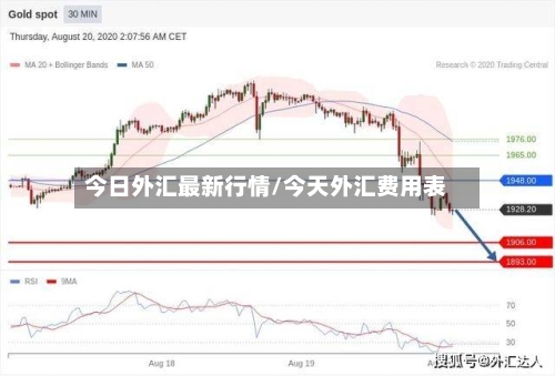今日外汇最新行情/今天外汇费用表-第3张图片