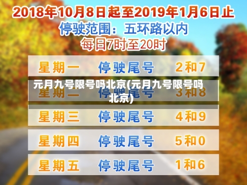 元月九号限号吗北京(元月九号限号吗北京)-第2张图片