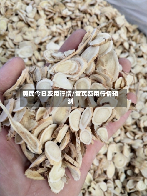 黄芪今日费用行情/黄芪费用行情预测-第2张图片