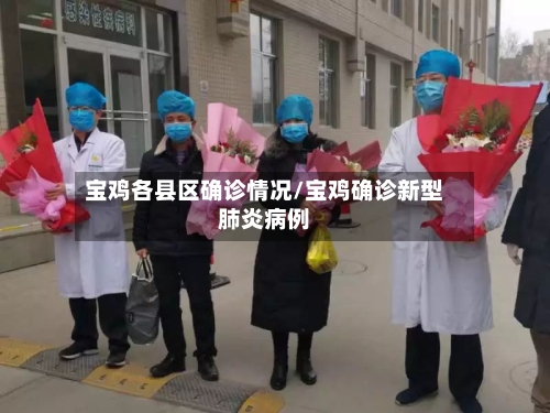 宝鸡各县区确诊情况/宝鸡确诊新型肺炎病例