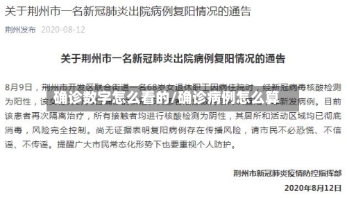 确诊数字怎么看的/确诊病例怎么算-第3张图片