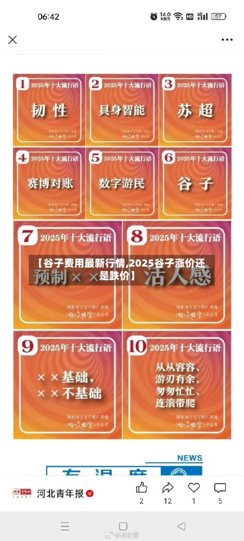 【谷子费用最新行情,2025谷子涨价还是跌价】-第2张图片