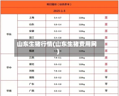 山东生猪行情(山东生猪费用网)-第2张图片