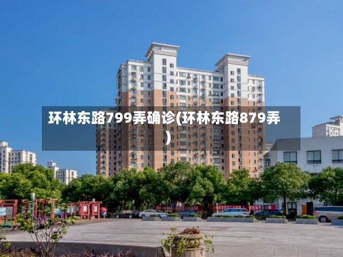 环林东路799弄确诊(环林东路879弄)