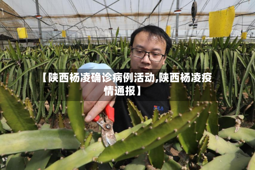 【陕西杨凌确诊病例活动,陕西杨凌疫情通报】