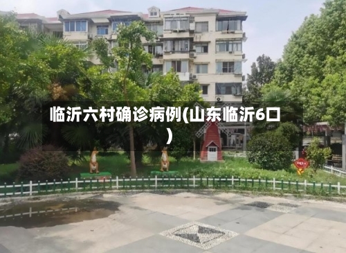 临沂六村确诊病例(山东临沂6口)