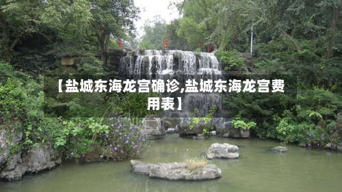 【盐城东海龙宫确诊,盐城东海龙宫费用表】