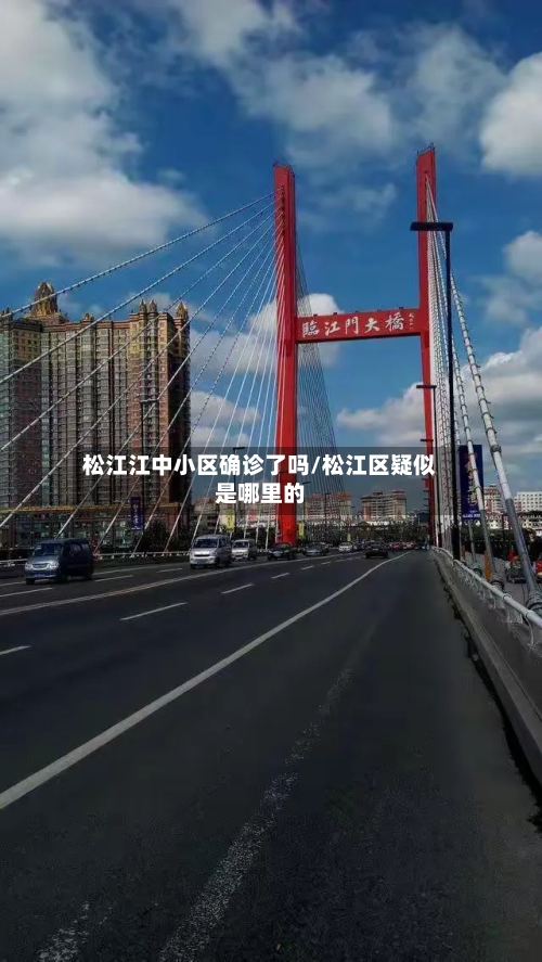 松江江中小区确诊了吗/松江区疑似是哪里的